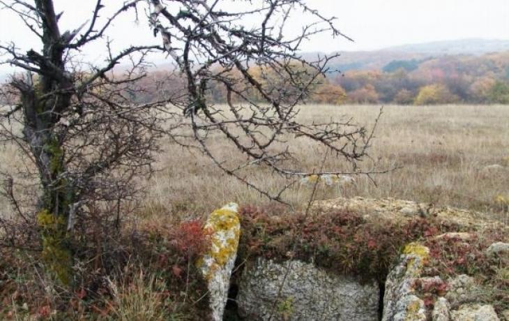 BELOGORSK. PETROVO
