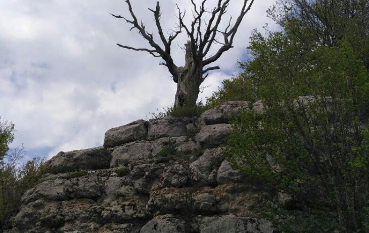 Restoration of energy balance in Crimean Shambhala - Boyko Mountain