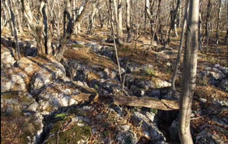 Restoration of energy balance in Crimean Shambhala - Boyko Mountain