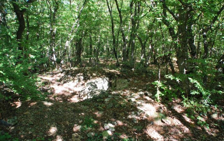 SEVASTOPOL. TERNOVA
