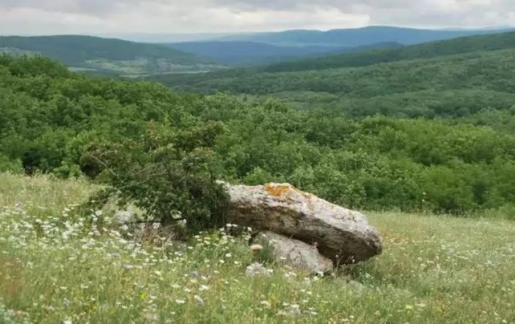 BELOGORSK. MOLBAY