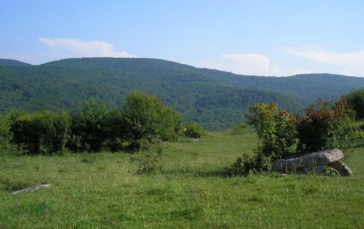 Дольмены, Кизинка