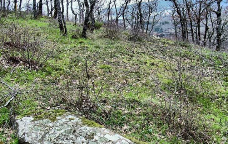 Yalta. GURZUF MOUNT BEAR