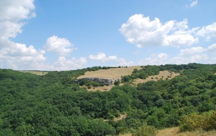SIMFEROPOL. FRIENDLY