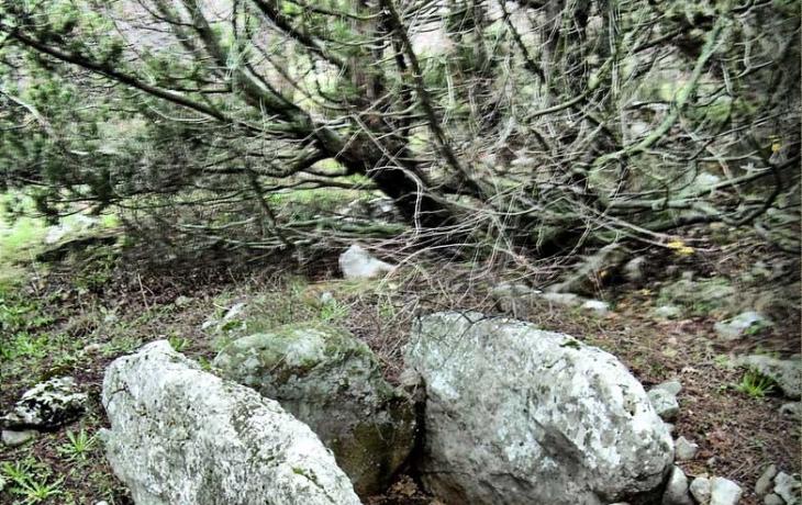 Yalta. SIMEIS. MOUNTAIN CAT
