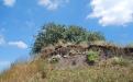 SIMFEROPOL. Pioneer