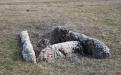 SIMFEROPOL. MARBLE