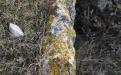 SIMFEROPOL. MARBLE
