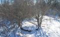 BELOGORSK. RED AGRICULTURE