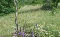 BELOGORSK. MOLBAY