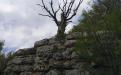 Restoration of energy balance in Crimean Shambhala - Boyko Mountain