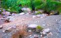 Wellness trip Arkhyz - Sour Lashtraksky springs