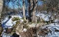 BELOGORSK. RED AGRICULTURE