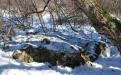 BELOGORSK. RED AGRICULTURE