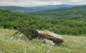 BELOGORSK. MOLBAY