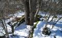 BELOGORSK. RED AGRICULTURE