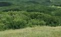 BELOGORSK. MOLBAY