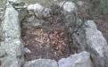 Yalta. SIMEIS. MOUNTAIN CAT