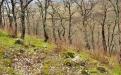 Yalta. GURZUF MOUNT BEAR