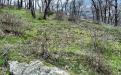 Yalta. GURZUF MOUNT BEAR
