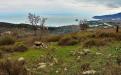 Yalta. GURZUF MOUNT BEAR
