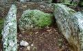 Yalta. SIMEIS. MOUNTAIN CAT
