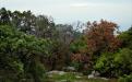 Yalta. SIMEIS. MOUNTAIN CAT