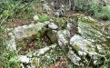 Yalta. SIMEIS. MOUNTAIN CAT