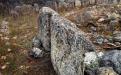 SEVASTOPOL. FIOLENT