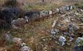 SEVASTOPOL. FIOLENT